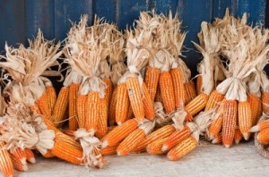 Come cercare clienti per un azienda che produce e vende farine