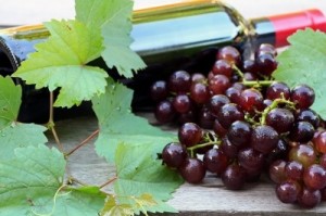 ricerca clienti vino
